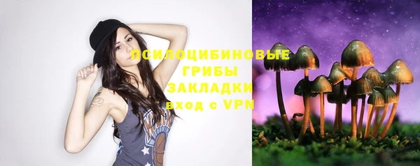 стаф Абаза