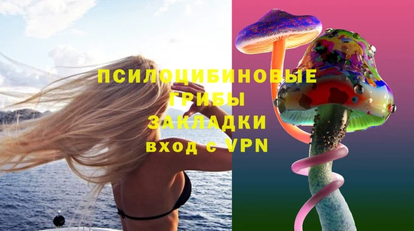 стаф Абаза