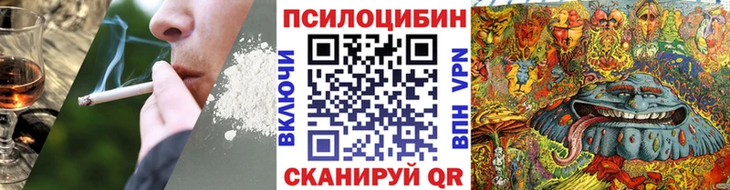 Псилоцибиновые грибы Magic Shrooms  купить   OMG вход  Партизанск 
